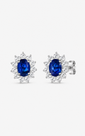 Aretes Diana